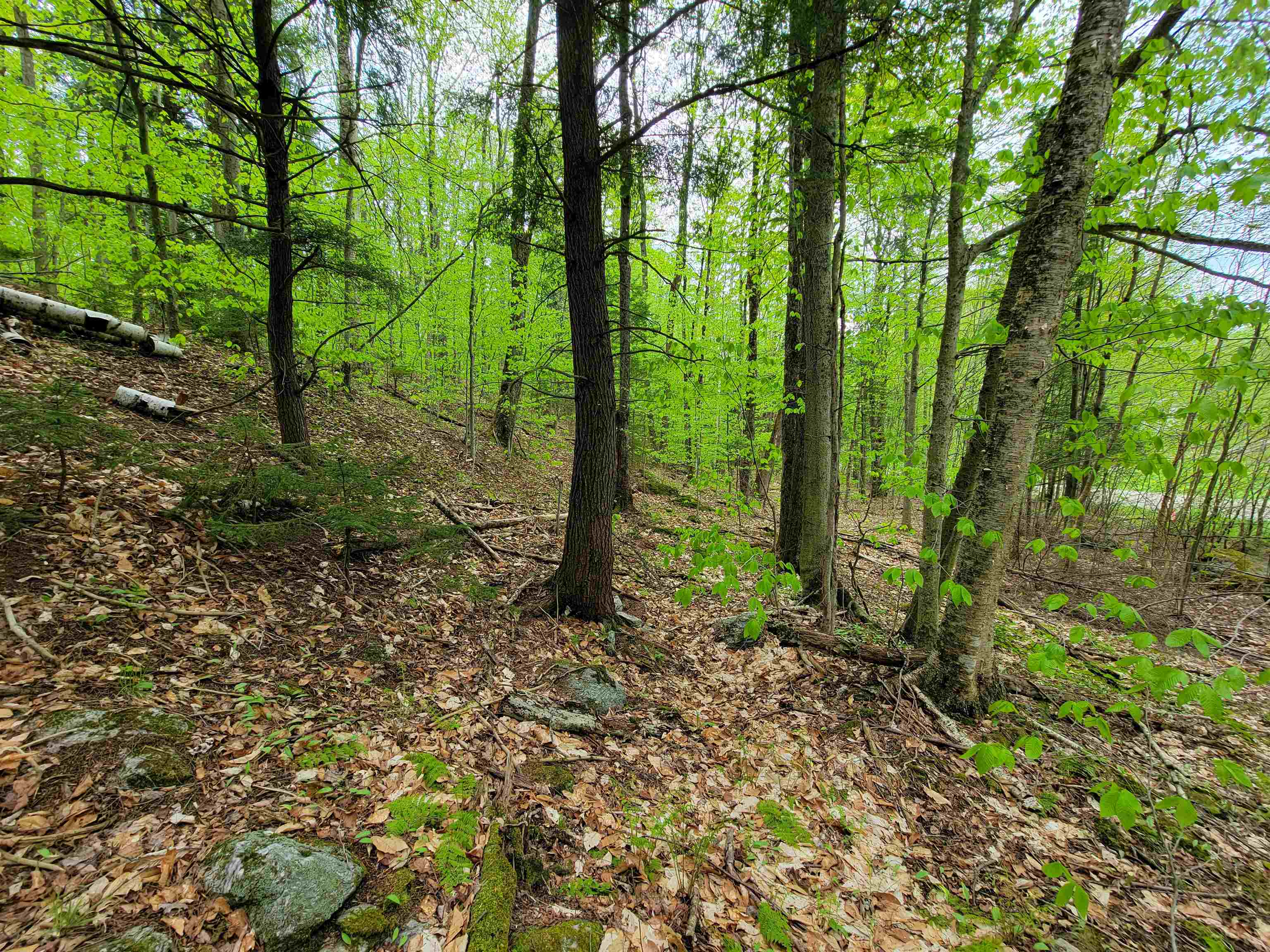 660 Brookview Lane Wolcott, VT 05680 - Photo 41 of 60