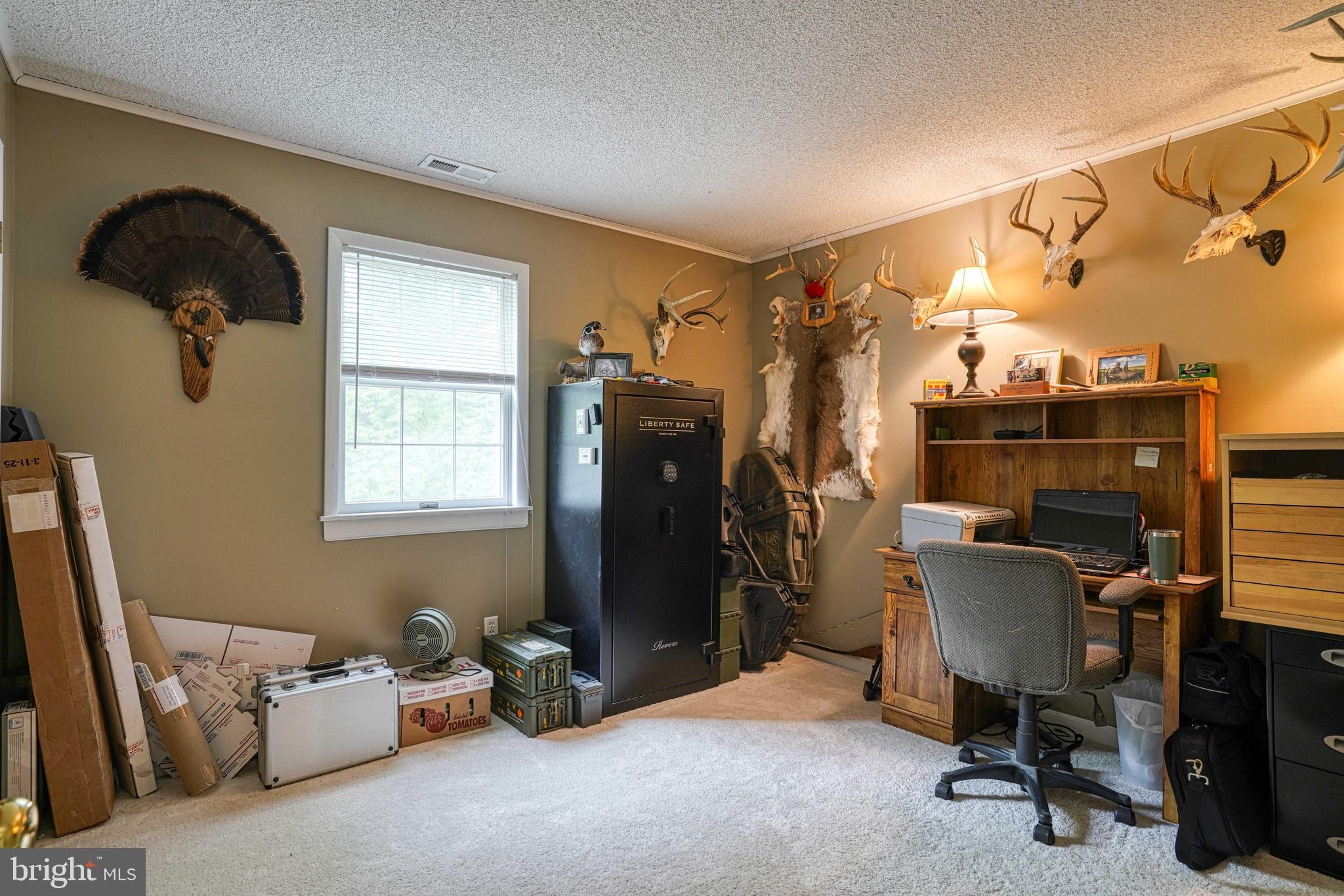13023 Mason Branch Road Ridgely, MD 21660 - Photo 53 of 111 Gallery Image 53