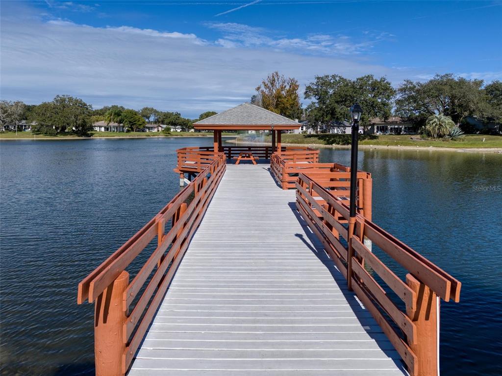 11241 Versailles Lane Port Richey, FL 34668 - Photo 48 of 84