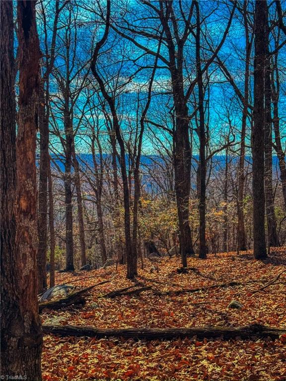 1644 Sierra Trace Road Denton, NC 27239 - Photo 12 of 43