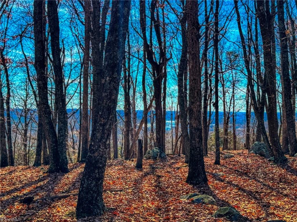 1644 Sierra Trace Road Denton, NC 27239 - Photo 14 of 43