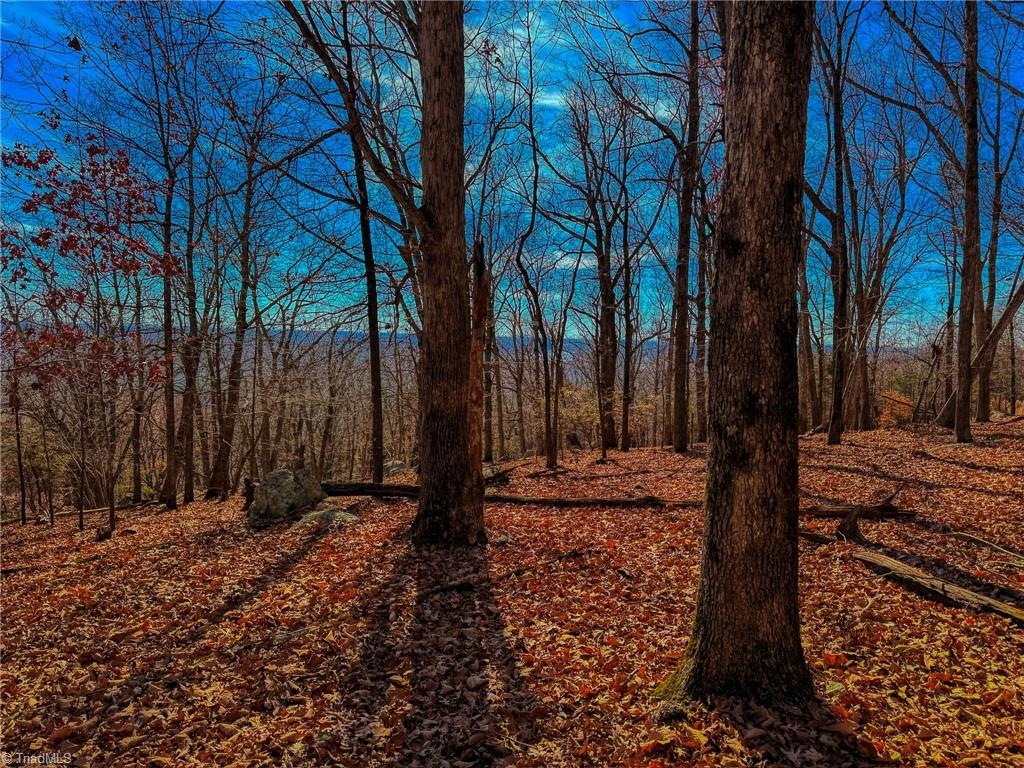 1644 Sierra Trace Road Denton, NC 27239 - Photo 15 of 43