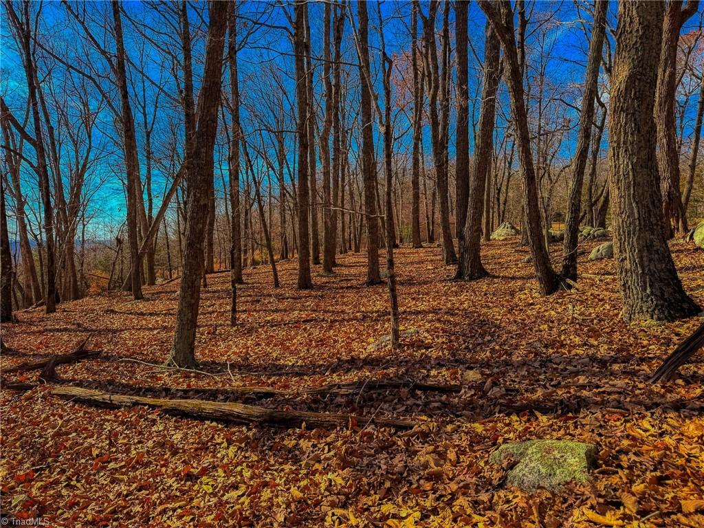 1644 Sierra Trace Road Denton, NC 27239 - Photo 16 of 43