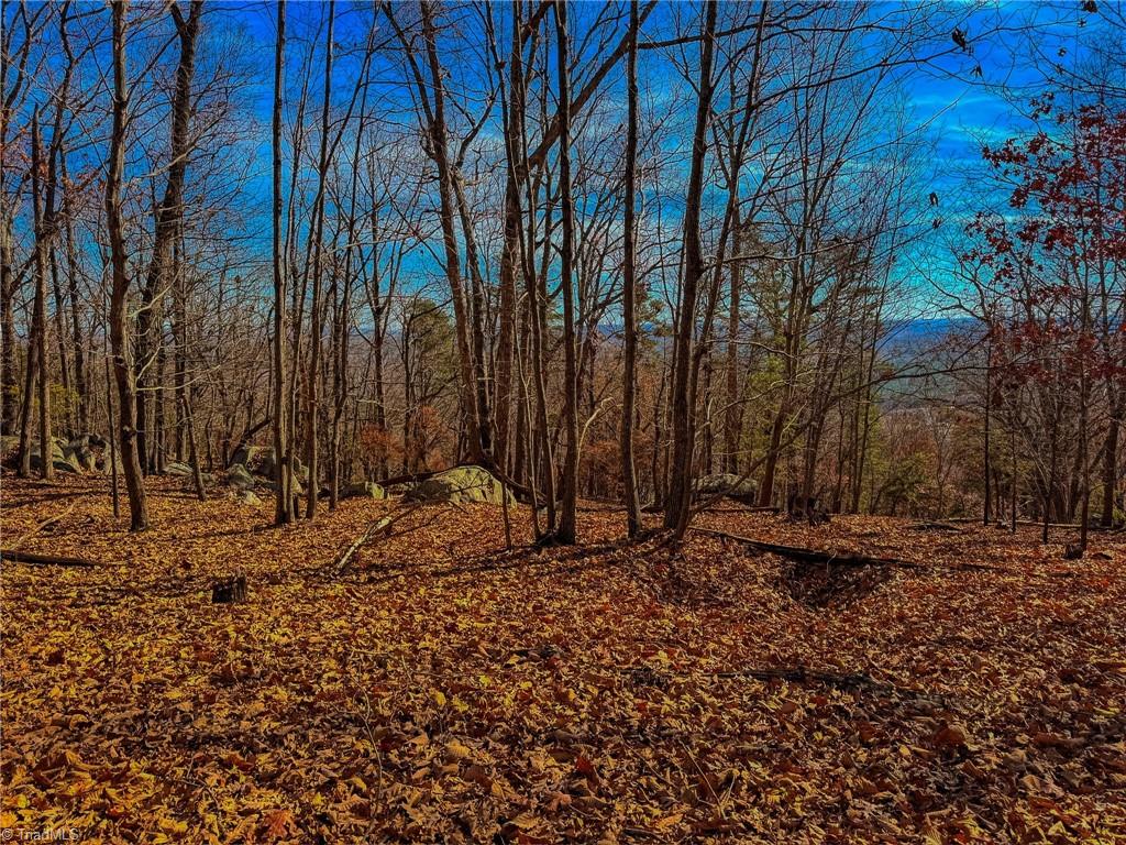 1644 Sierra Trace Road Denton, NC 27239 - Photo 17 of 43