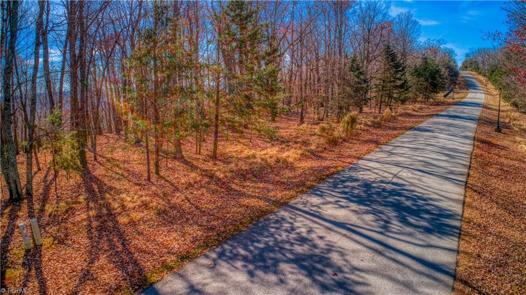 1644 Sierra Trace Road Denton, NC 27239 - Photo 19 of 43