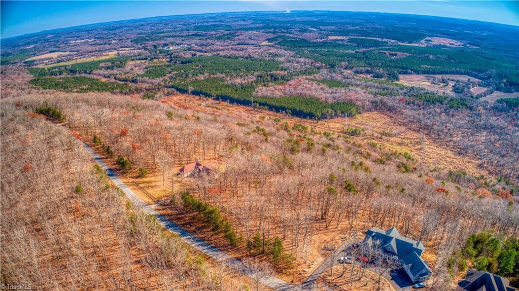 1644 Sierra Trace Road Denton, NC 27239 - Photo 9 of 43