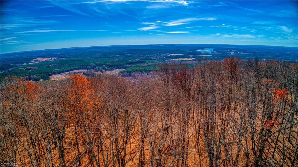 1644 Sierra Trace Road Denton, NC 27239 - Photo 10 of 43 Tree top view