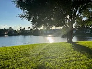 a view of a lake from a yard