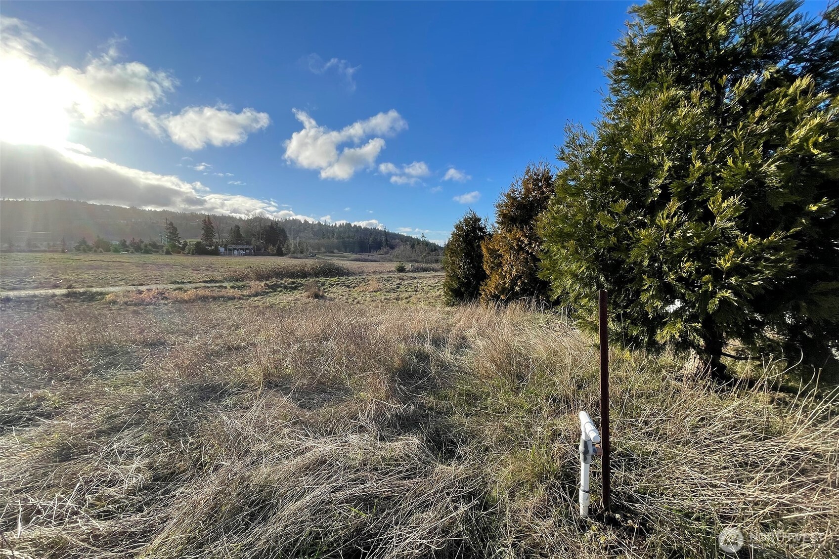 336 Bell Bottom Road Sequim, WA 98382 - Photo 12 of 29 a view of a yard with wooden fence