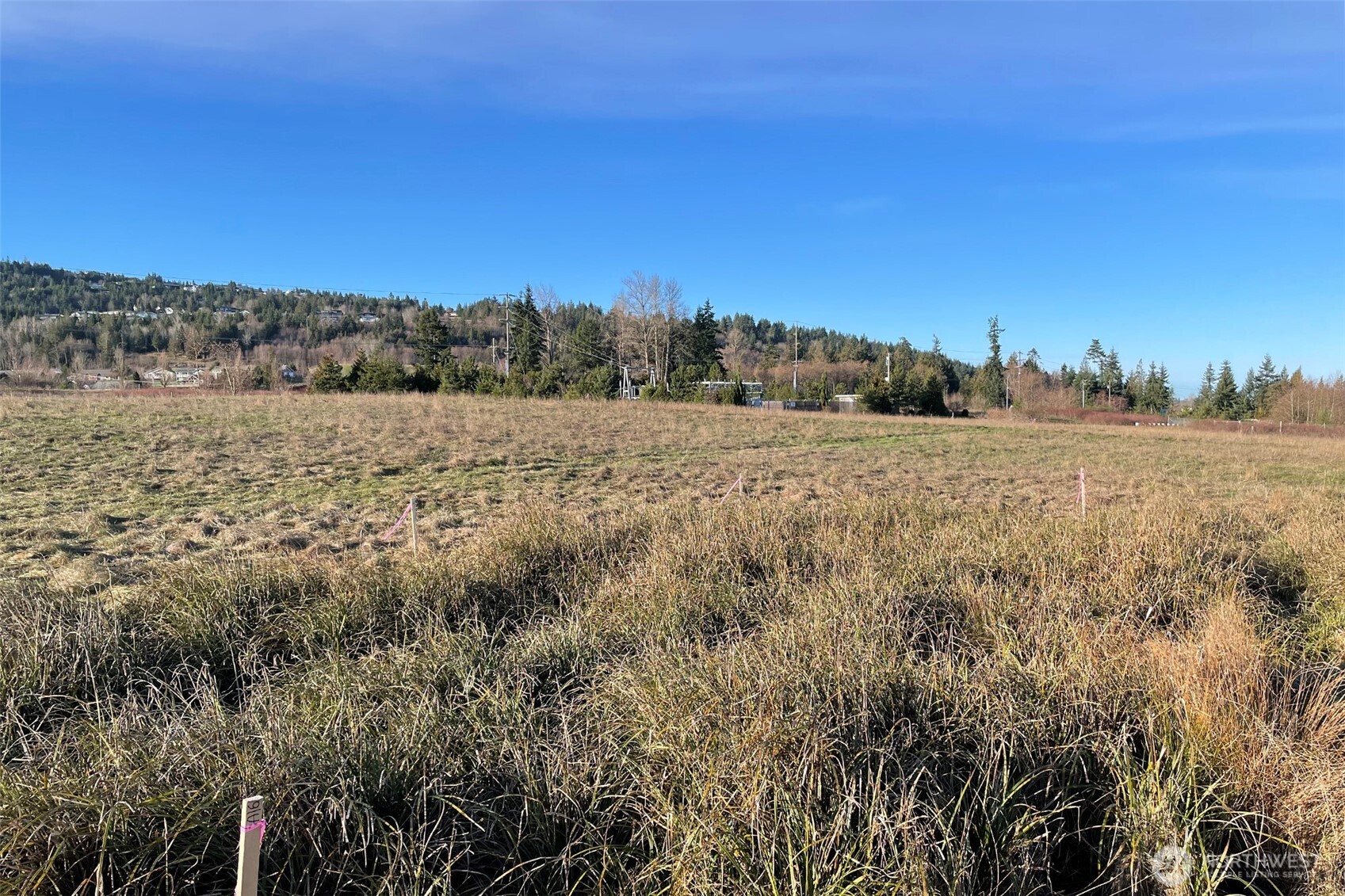 336 Bell Bottom Road Sequim, WA 98382 - Photo 15 of 29 a view of an outdoor space and a yard