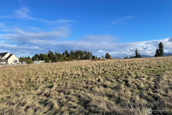 a view of a lake with a building in the background