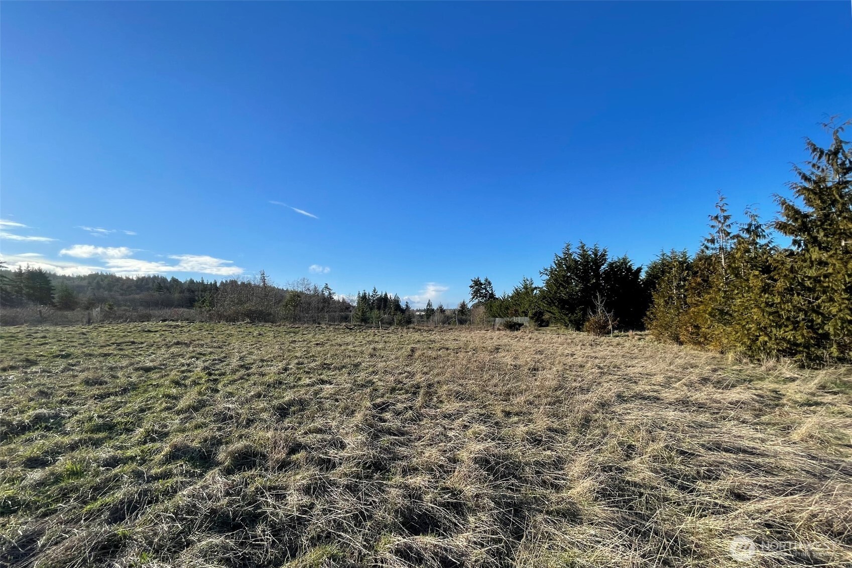336 Bell Bottom Road Sequim, WA 98382 - Photo 22 of 29 a view of lake view and mountain