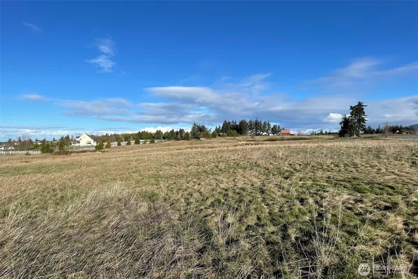 a view of a yard