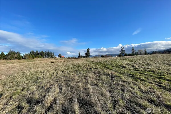 a view of a dry yard with wooden fence