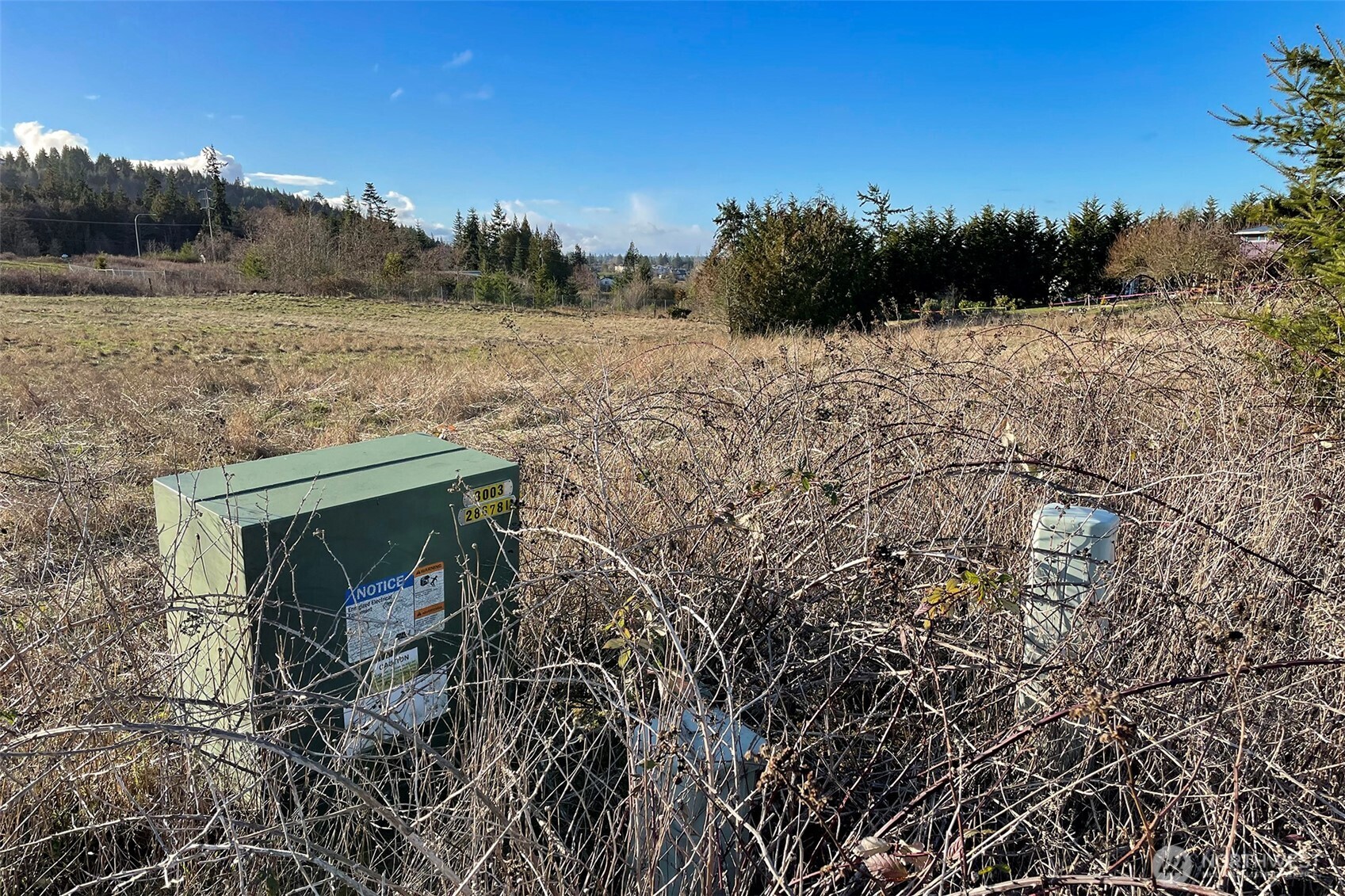 336 Bell Bottom Road Sequim, WA 98382 - Photo 9 of 29 a view of a dry yard with trees