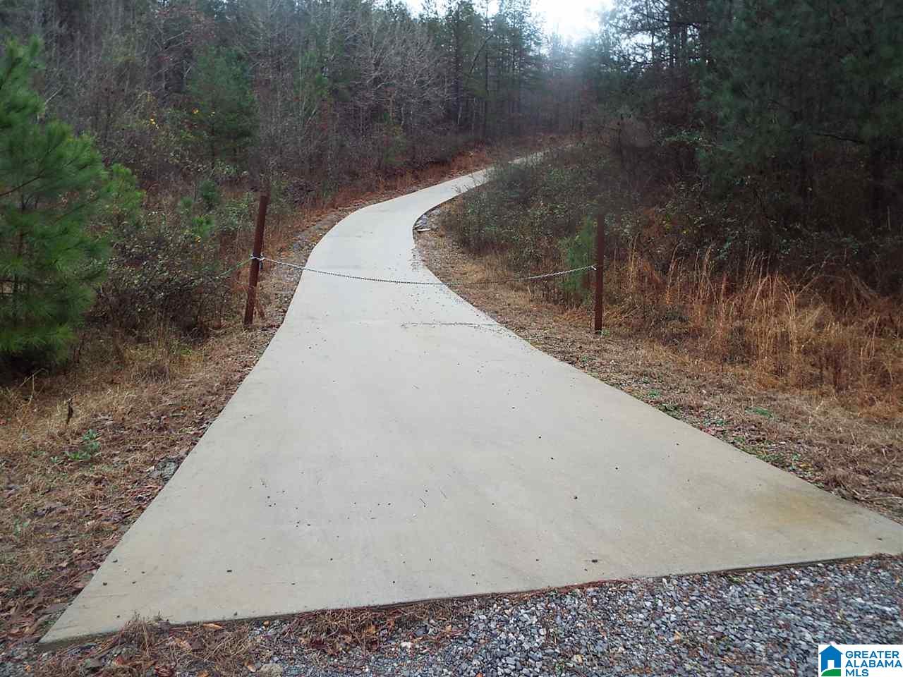 188 House Road Remlap, AL 35133 - Photo 6 of 31