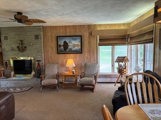 593 Shackelton Point Road Sullivan, NY 13030 - Photo 6 of 38