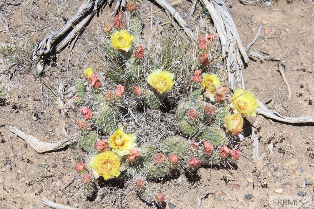 5865 West Remington Ridge Mackay, ID 83251 - Photo 16 of 17