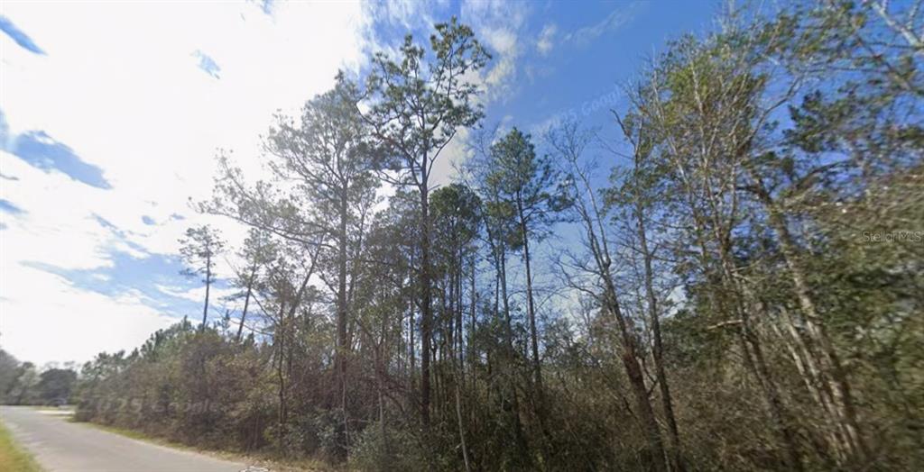 3200 Stefani Road Cantonment, FL 32533 - Photo 1 of 10 a view of forest