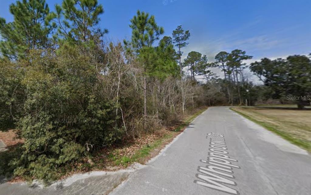 3200 Stefani Road Cantonment, FL 32533 - Photo 3 of 10 a view of a backyard