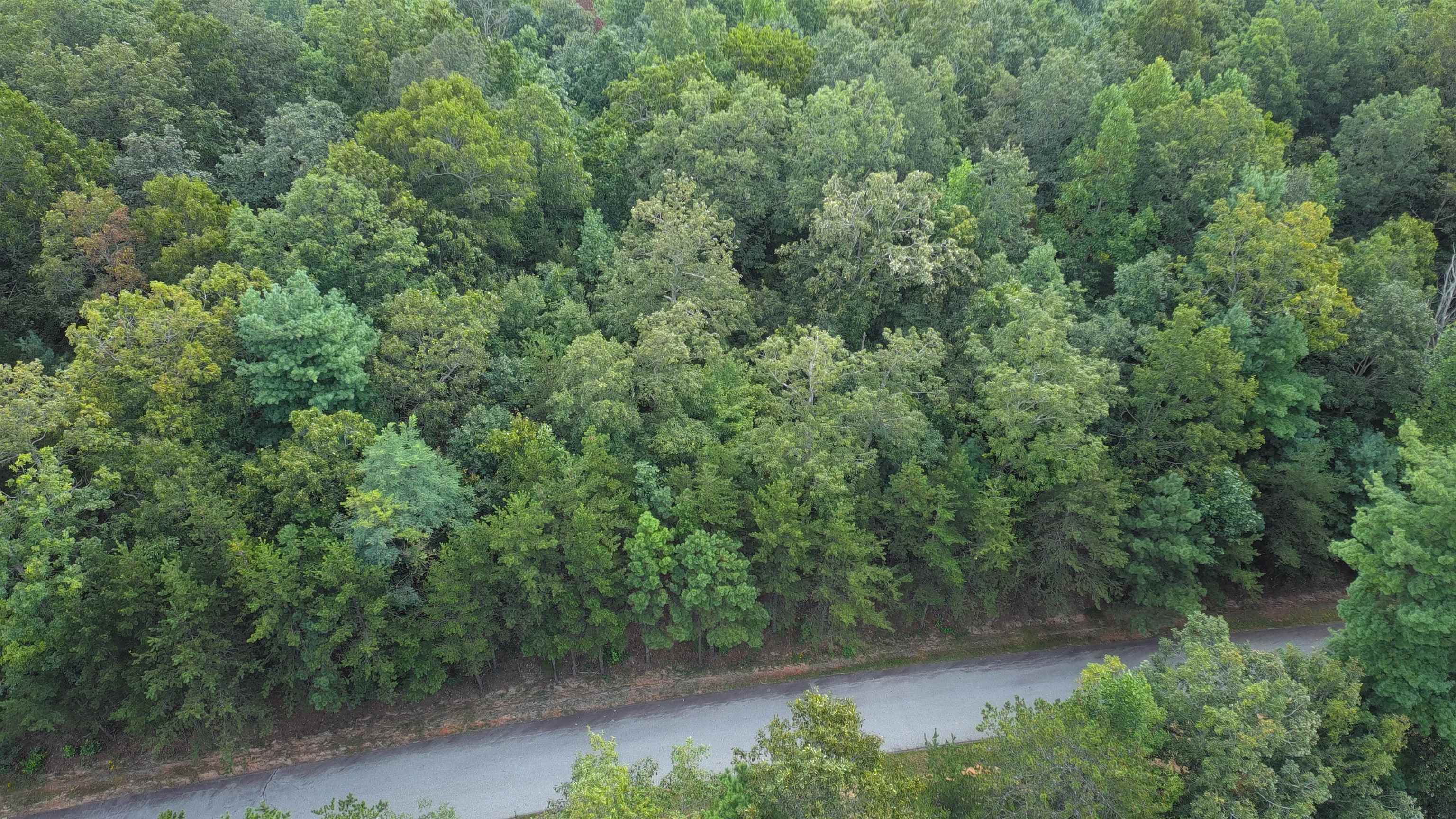 275 Kincaid Pl Mill Spring Mill Spring, NC 28756 - Photo 24 of 27 Gallery Image 24