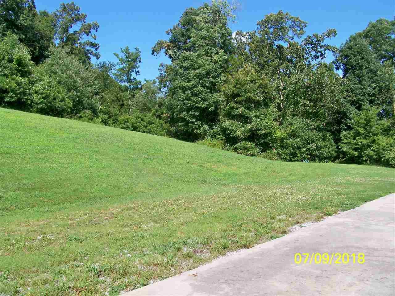 2683 Highway 30 Decatur, TN 37322 - Photo 46 of 47 a view of a field with plants