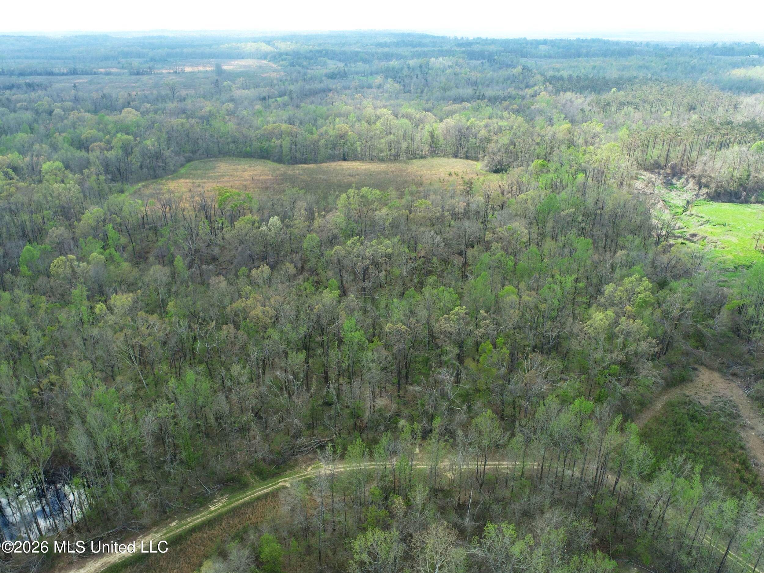 Chinqupin Road Lexington, MS 39095 - Photo 106 of 210 7chqpn37