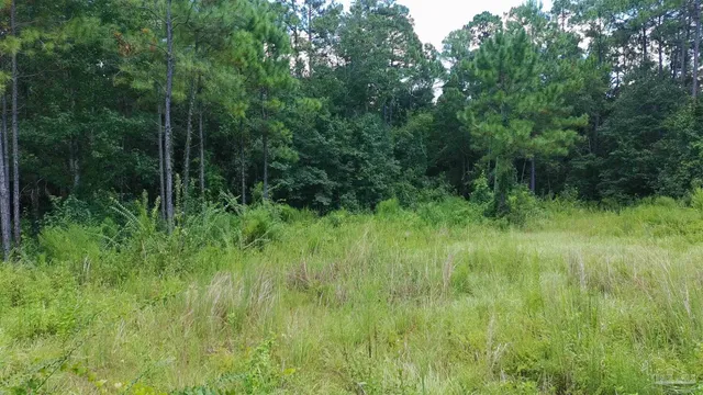 $49,000 | 3453 Argyle Drive, Pace, FL 32571