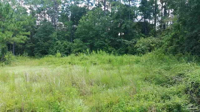 $49,000 | 3453 Argyle Drive, Pace, FL 32571