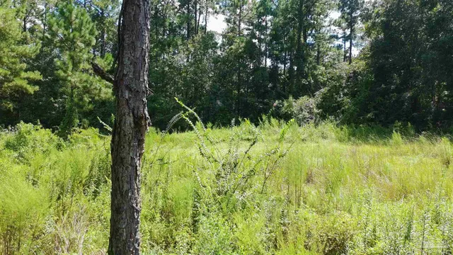 $49,000 | 3453 Argyle Drive, Pace, FL 32571