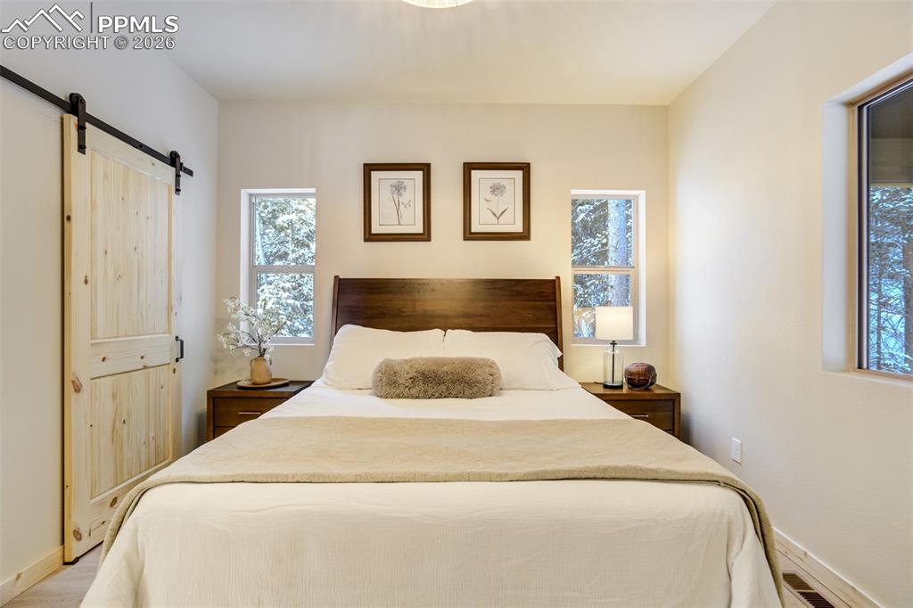 162 Kernite Lane Divide, CO 80814 - Photo 14 of 29 a bedroom with a bed and a window