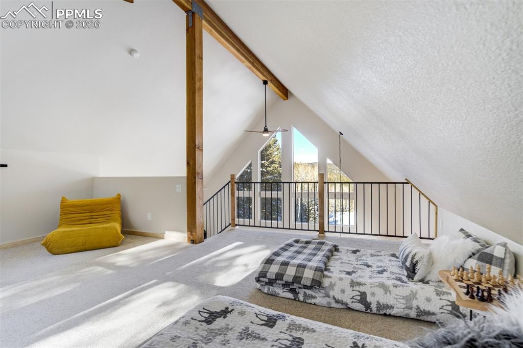 162 Kernite Lane Divide, CO 80814 - Photo 17 of 29 a view of livingroom with furniture