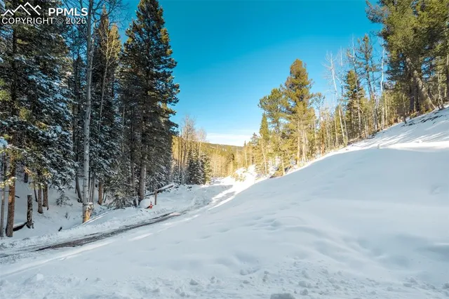 $597,500 | 162 Kernite Lane, Divide, CO 80814