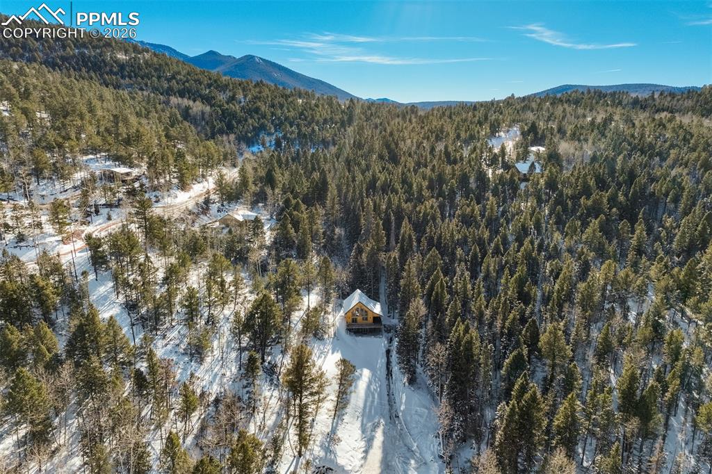 162 Kernite Lane Divide, CO 80814 - Photo 28 of 29 a view of a city