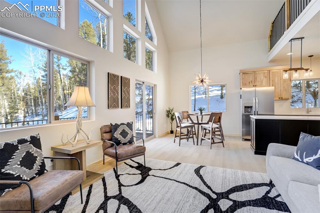 162 Kernite Lane Divide, CO 80814 - Photo 7 of 29 a living room with furniture and a large window