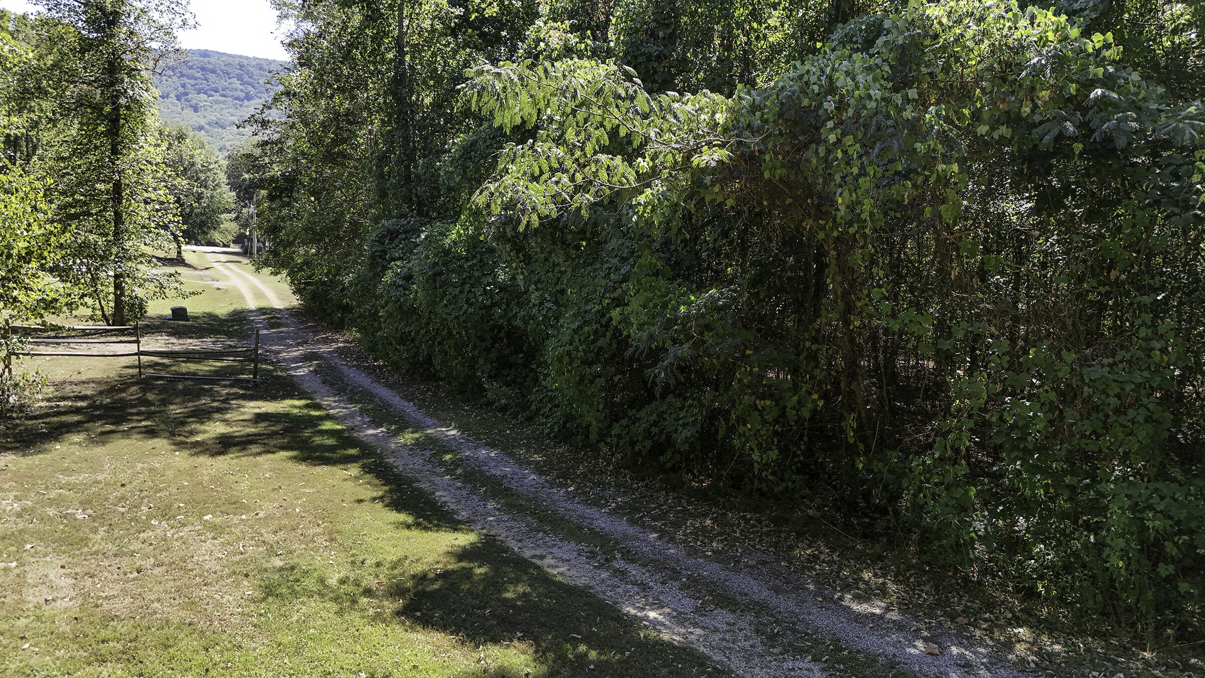 1635 Bennett Lake Road Whitwell, TN 37397 - Photo 20 of 37 DJI_20260928145530_0025_D
