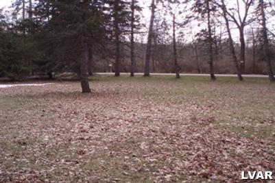 344 Beaver Valley Road Stroudsburg, PA 18360 - Photo 2 of 11 a backyard of a house with lots of green space