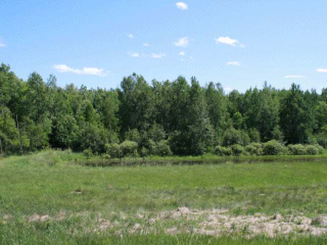 3555 Shingle Mill Road Pelican Lake, WI 54463 - Photo 5 of 13 Gallery Image 5