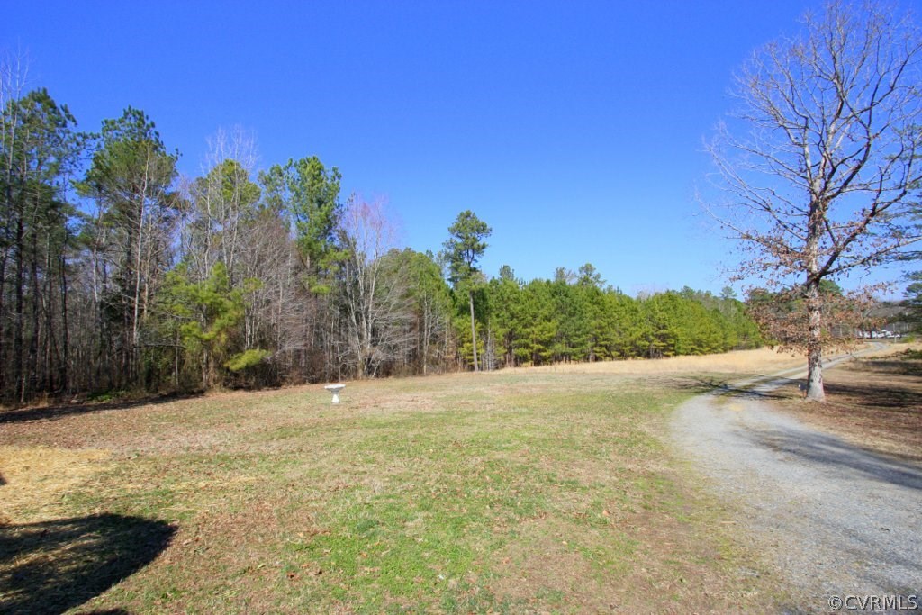 7470 Jericho Road Ruther Glen, VA 22546 - Photo 8 of 23 Looking towards Jericho rd from the home