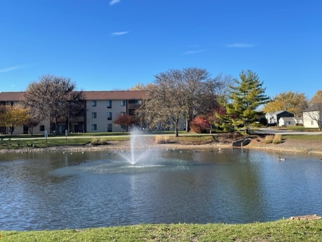 1091 Rodenburg Road, Unit 203 Roselle, IL 60172 - Photo 11 of 11 Gallery Image 11
