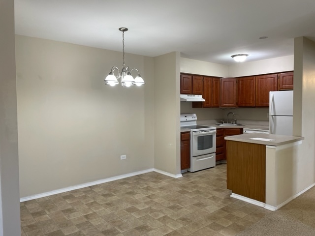 1091 Rodenburg Road, Unit 203 Roselle, IL 60172 - Photo 5 of 11 Gallery Image 5