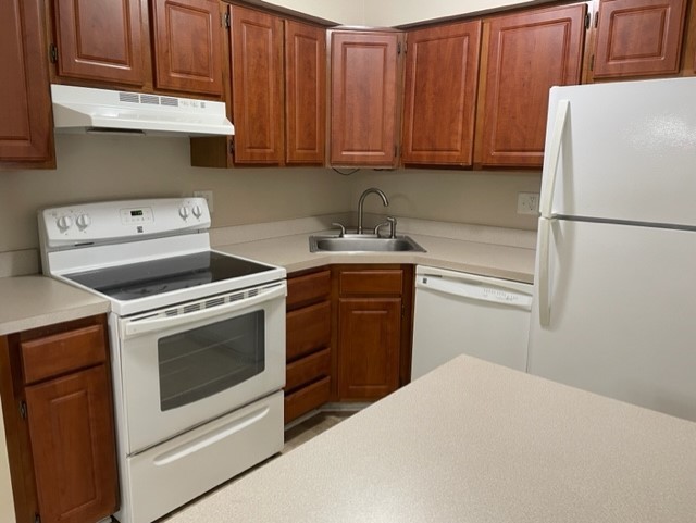 1091 Rodenburg Road, Unit 203 Roselle, IL 60172 - Photo 6 of 11 Gallery Image 6