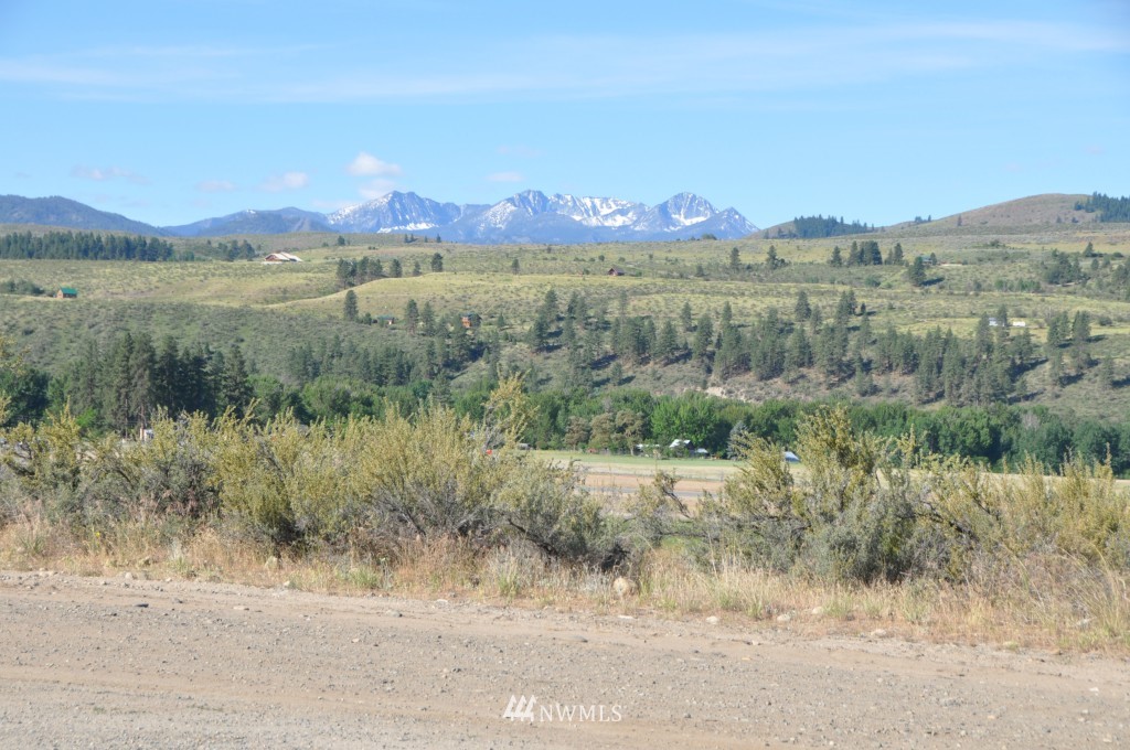 5 Harrier Hill Road Winthrop, WA 98862 - Photo 11 of 21 Gallery Image 11
