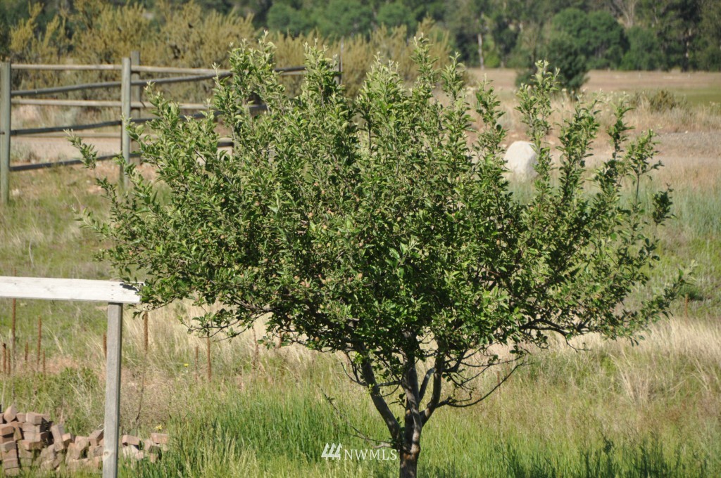 5 Harrier Hill Road Winthrop, WA 98862 - Photo 10 of 21 Gallery Image 10