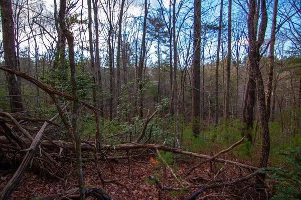$619,000 | 1 Rock Creek Court, Cherry Log, GA 30522
