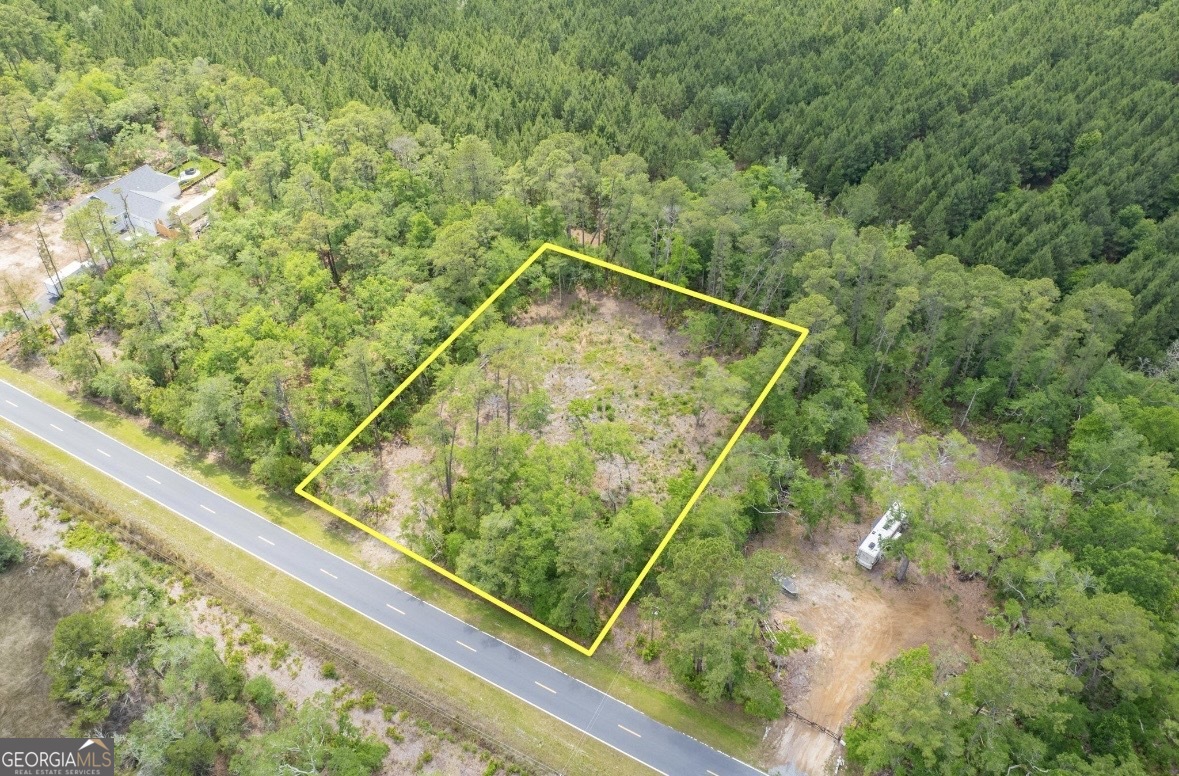 0 Piney Bluff Road Waverly, GA 31565 - Photo 19 of 26