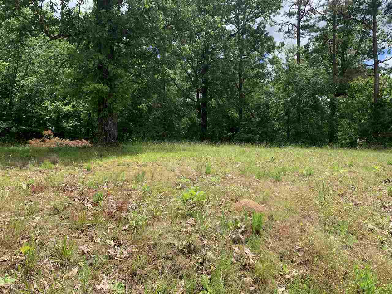 2 Smoky Road Savannah, TN 38372 - Photo 2 of 9 Gallery Image 2