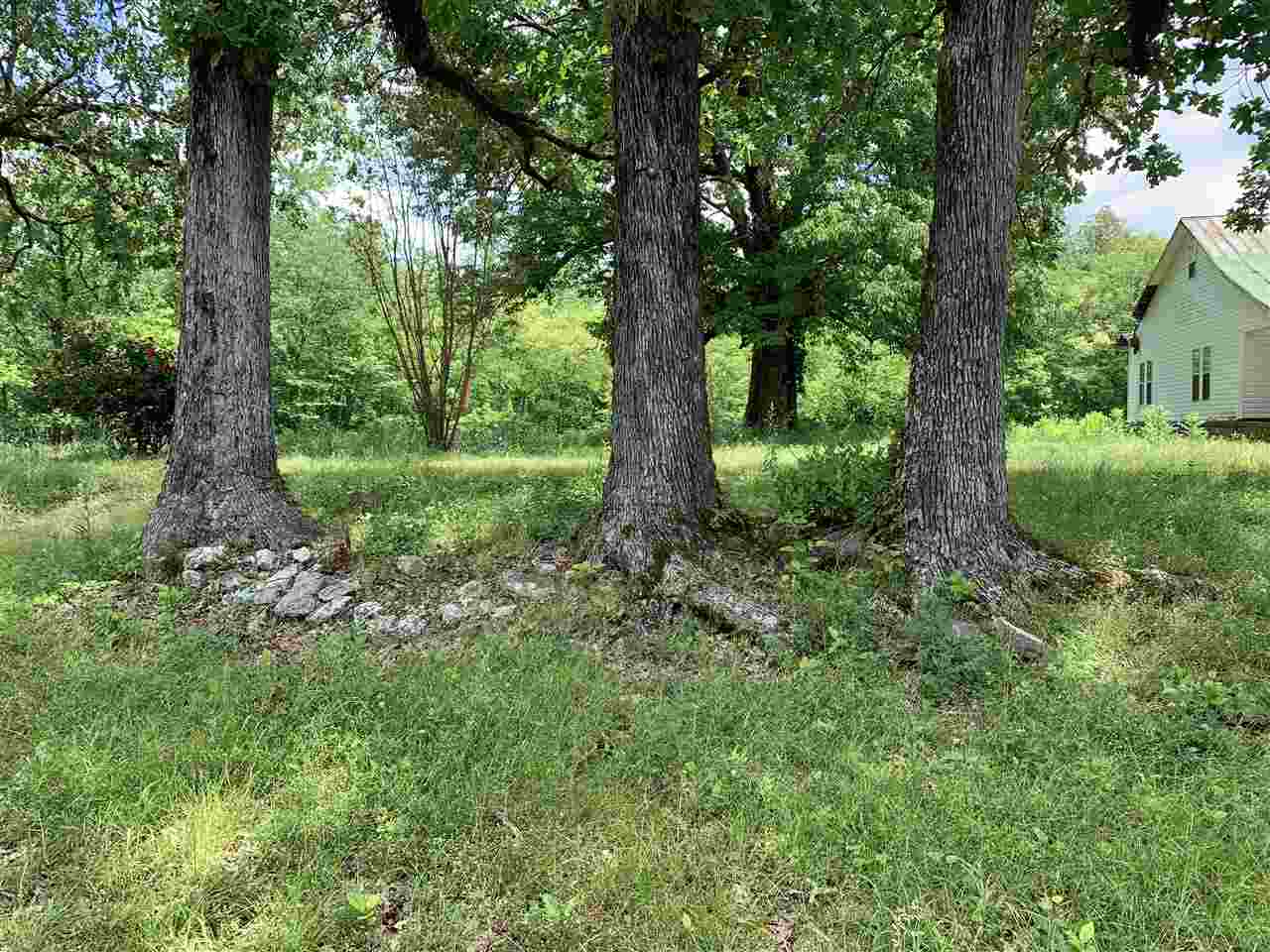 2 Smoky Road Savannah, TN 38372 - Photo 6 of 9 Gallery Image 6
