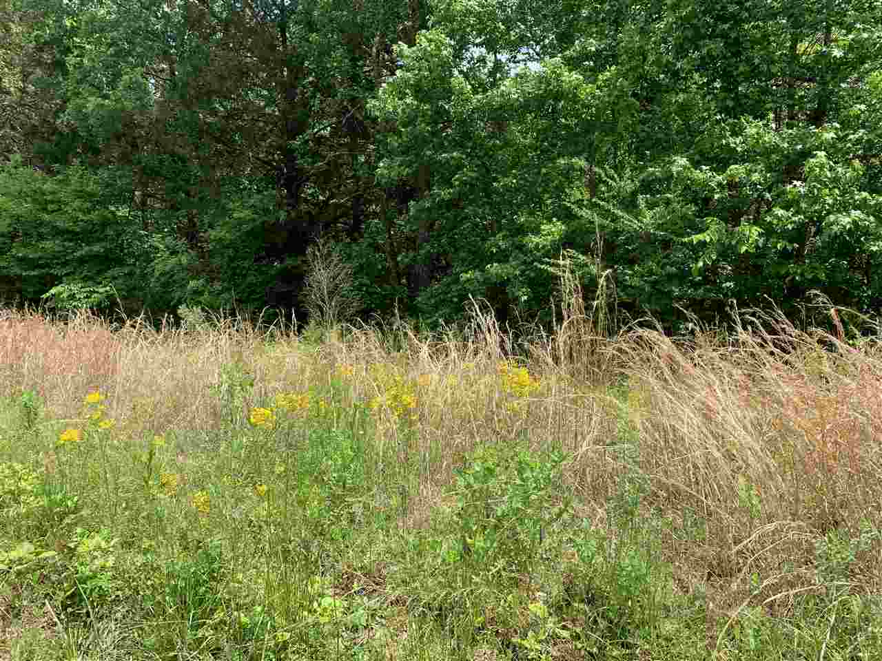 2 Smoky Road Savannah, TN 38372 - Photo 9 of 9 Gallery Image 9