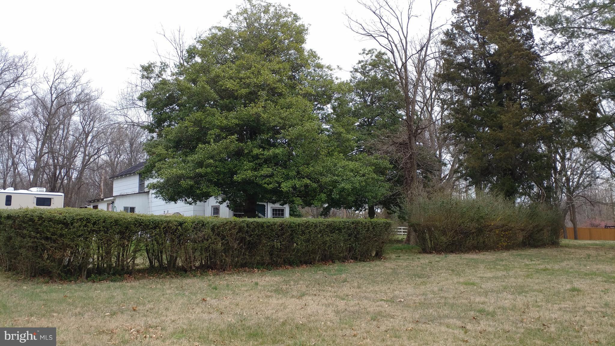 39588 Mossridge Road Aldie, VA 20105 - Photo 4 of 13 View from road